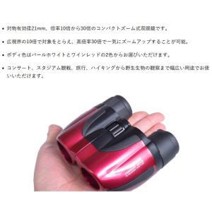 双眼鏡 10-30倍 ズーム 径21mm SA...の詳細画像1