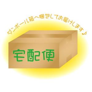 宅配便オプション　（箱梱包） 宅