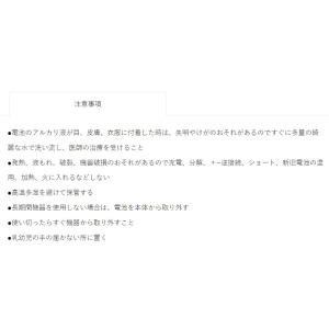 『使用推奨期限26-4月のため訳あり特価』 カ...の詳細画像1
