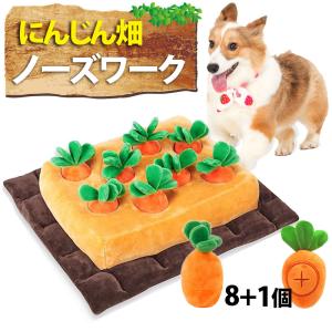 限定 音鳴るにんじん1個おまけ にんじん畑 ノーズワーク