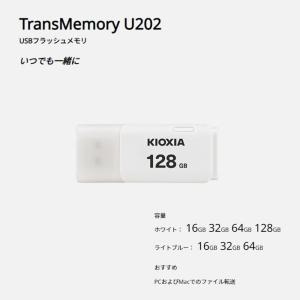 128GB USBメモリ USB2.0 KIO...の詳細画像1
