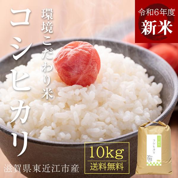 新米 コシヒカリ 10kg 令和6年 送料無料 お米 白米 玄米 1等級米 10キロ 米 近江米 米...