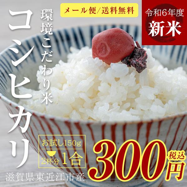 新米 コシヒカリ 1合 150g 令和6年 送料無料 ポイント消化 お試し お茶碗 2杯分 お米 白...