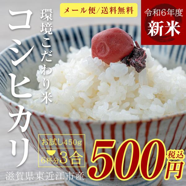 新米 コシヒカリ 3合 450g 令和6年 送料無料 ポイント消化 お試し お茶碗 6杯分 お米 白...