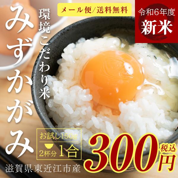 新米 みずかがみ 1合 150g 令和6年 送料無料 ポイント消化 お試し お茶碗 2杯分 お米 白...
