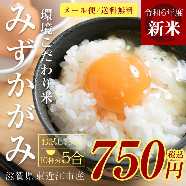 新米 みずかがみ 5合 750g 令和6年 送料無料 ポイント消化 お試し お茶碗10杯分 お米 白...