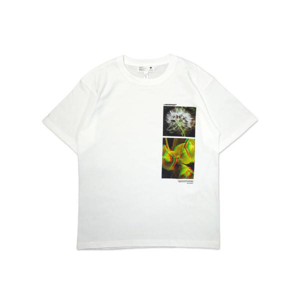 [quolt] 3D-SEEDS TEE