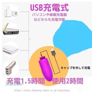 <500円クーポン配布>ハンディマッジャ...の詳細画像4