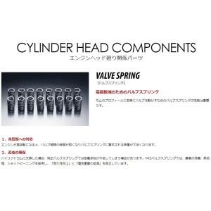HKS バルブスプリング STEP2 22001-AN001 RB26DETT スカイラインGT-R...