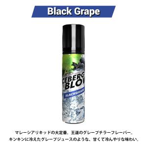 vape リキッド 電子タバコ ICEBERG...の詳細画像1