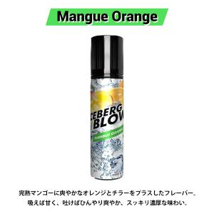 vape リキッド 電子タバコ ICEBERG...の詳細画像2