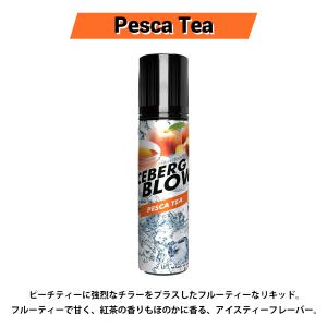 vape リキッド 電子タバコ ICEBERG...の詳細画像3