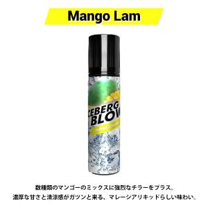 vape リキッド 電子タバコ ICEBERG...の詳細画像4