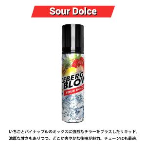 vape リキッド 電子タバコ ICEBERG...の詳細画像5