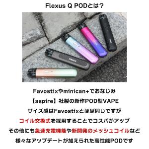 リキッド付き Aspire Flexus Q ...の詳細画像1