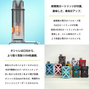 電子タバコ vape シーシャ 持ち運び As...の詳細画像5
