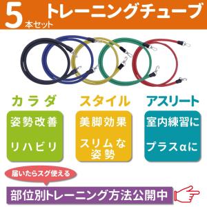 トレーニング チューブ ゴム エキスパンダー エクササイズバンド 体幹 トレーニング 5本 セット インナーマッスル 最大約14kg 負荷可能 【送料無料】｜flavor9