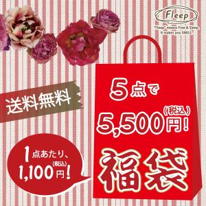 送料無料 福袋 お肌にやさしい下着 Fleep フリープ 数量限定 2026年春の福袋 ネコポス不可 ギフトラッピング不可 ５点セットで税込5,500円