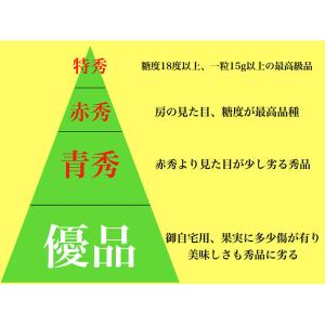 梨 ギフト 新甘泉 贈答 青秀品 4〜7玉 約...の詳細画像1