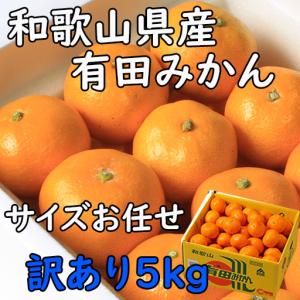 有田みかん　みかん　和歌山県産　5kg　訳あり品　大きさお任せ　ご家庭用　お歳暮　日付指定ＯＫ　指定日ＯＫ　ミカン　