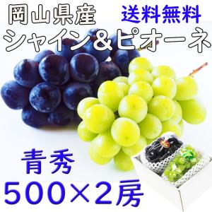 シャインマスカット ピオーネ 岡山 晴王 500...の商品画像