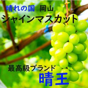 シャインマスカット ピオーネ 岡山 晴王 50...の詳細画像1