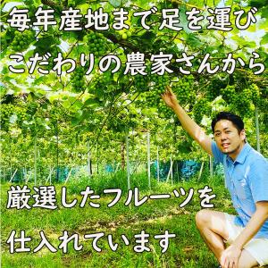 シャインマスカット ピオーネ 岡山 晴王 50...の詳細画像4