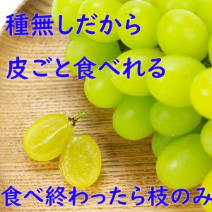 シャインマスカット ピオーネ 岡山 晴王 50...の詳細画像5