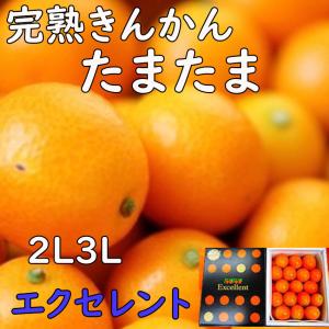 2025 ギフト 初夏のフルーツ詰合せセット3種 さくらんぼ マンゴー