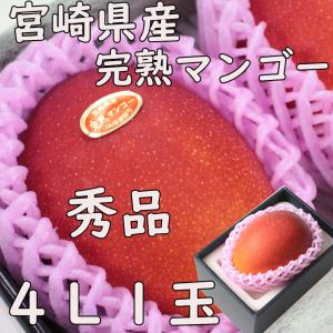 宮崎完熟マンゴー” 秀品 3L〜4Lサイズ《3玉購入で送料無料》宮崎