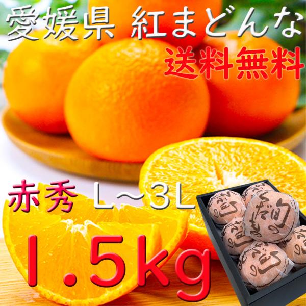お歳暮 紅まどんな 愛媛 赤秀 1.5kg Ｌ〜3Ｌサイズ 和紙 個包装 JAえひめ中央 進物 光セ...