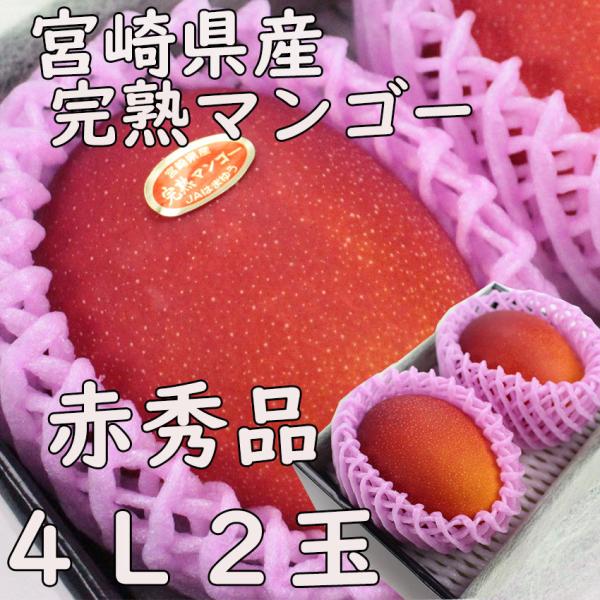 宮崎県産 完熟マンゴー  4Ｌ ２玉 赤秀品 送料無料 贈答 ギフト  高糖度 JA 農協品 贈り物...