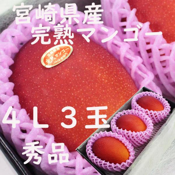 完熟マンゴー 宮崎県産  ４L ３玉 のし 熨斗 秀品  母の日 ギフト 贈答 プレゼント 御礼 農...