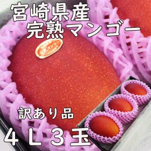 宮崎完熟マンゴー” 秀品 3Lサイズ 3玉入り 化粧箱 宮崎マンゴー【予約