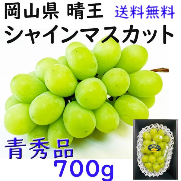 シャインマスカット 岡山県産 700ｇ 青秀 1房 お中元 贈答 のし 熨斗対応 ＪＡ 農協 ギフト...