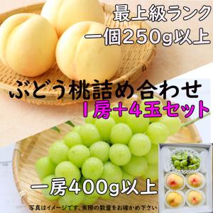 お中元 シャインマスカット 白桃 送料無料 岡山 晴王 秀品 贈答 1房400ｇ以上 4玉250ｇ以上  JA 農協 のし 熨斗 ギフト 詰め合わせ 指定日OK 日付指定ＯＫ