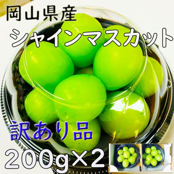 訳あり シャインマスカット  岡山県産 200ｇ×2 家庭用  ちょうどサイズ  ギフト 旬 指定日...