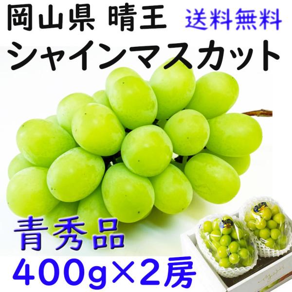 シャインマスカット 岡山県産  晴王 お中元 青秀 400ｇ×２ 贈答 のし 熨斗対応 高糖度 ギフ...