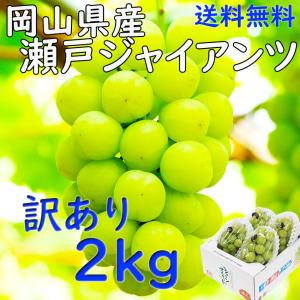 訳あり 瀬戸ジャイアンツ 岡山県産 ぶどう 2kg ３〜５房 家庭用 種無し JA 農協 日付指定OK 指定日OK