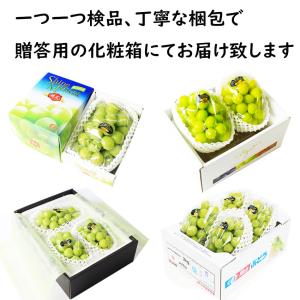 訳あり 瀬戸ジャイアンツ 岡山県産 ぶどう 2...の詳細画像1