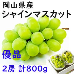 シャインマスカット 岡山 晴王 優品 ２房 計８００ｇ お中元 家庭用 ギフト プレゼント  お見舞い 御供 日付指定ok 指定日OK