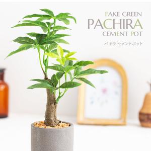 パキラ セメント風ポット フェイクグリーンの商品画像