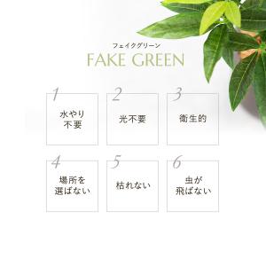 パキラ セメント風ポット フェイクグリーンの詳細画像2