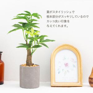 パキラ セメント風ポット フェイクグリーンの詳細画像4