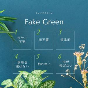 フェイク3点セット フェイクグリーンの詳細画像2