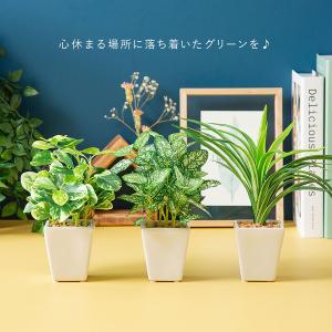 フェイク3点セット フェイクグリーンの詳細画像3