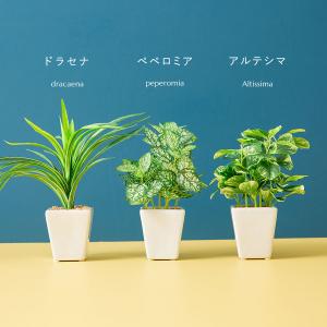 フェイク3点セット フェイクグリーンの詳細画像4