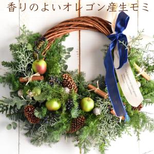 ドライ GREENHOUSE トナカイリース CM1540 フラワーリース 花リース