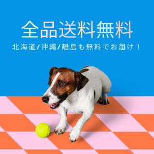 フレキシリード 伸縮リード 中型犬 グラム ス...の詳細画像1
