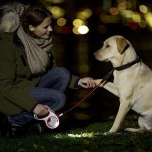 犬 散歩 ライト LEDライト USB充電式 ...の詳細画像1